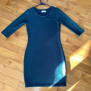 Bien Bleu Bodycon Dress